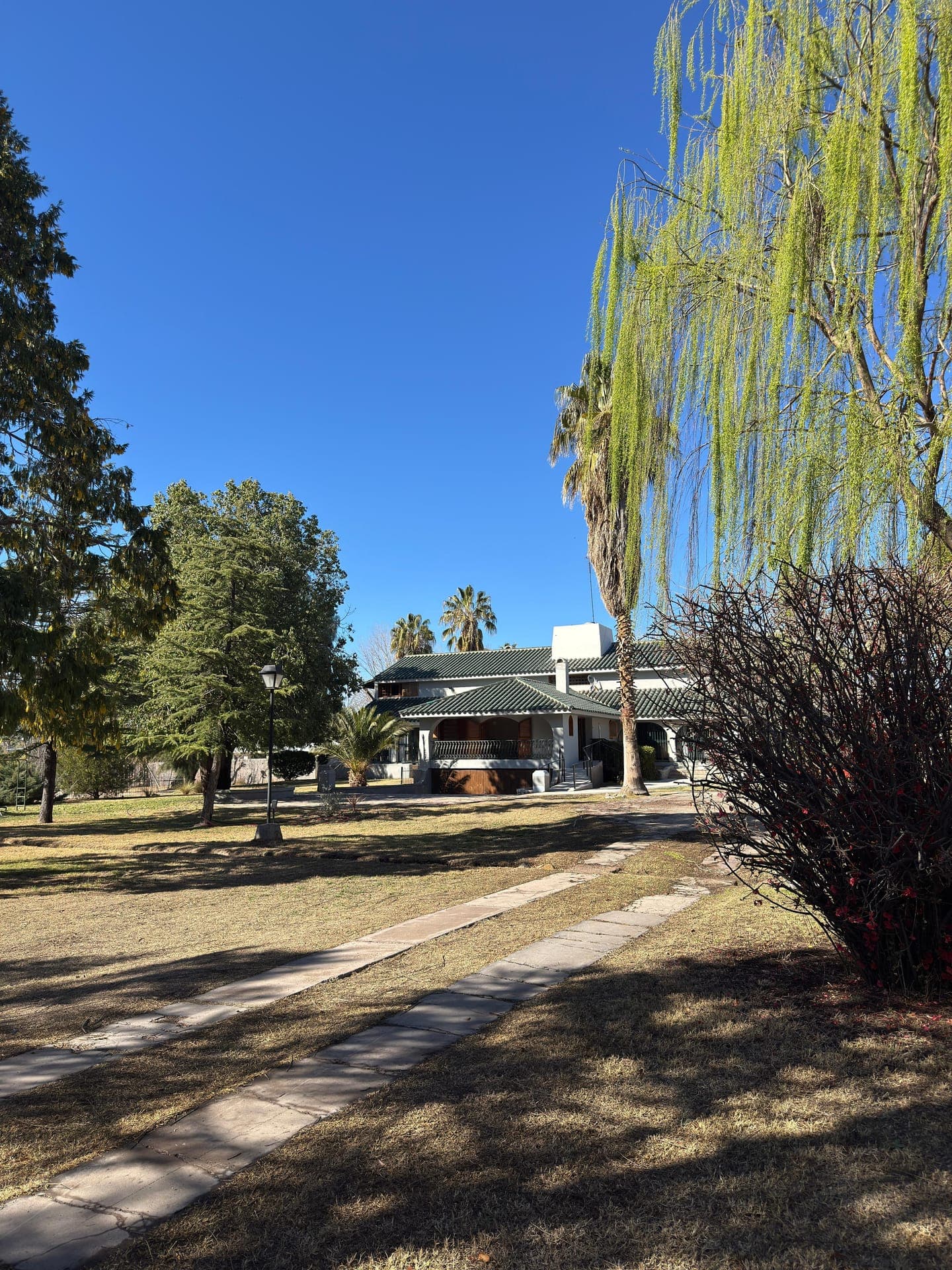 Parque con sauce y arboleda de la residencia LAM Chacras Larrea en Chacras de Coria