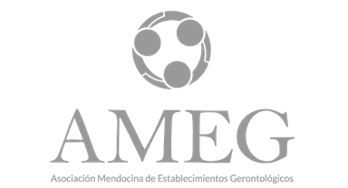 AMEG Logo